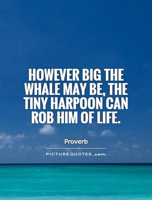 However big the whale may be, the tiny harpoon can rob him of life Picture Quote #1