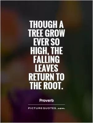 Though a tree grow ever so high, the falling leaves return to the root Picture Quote #1