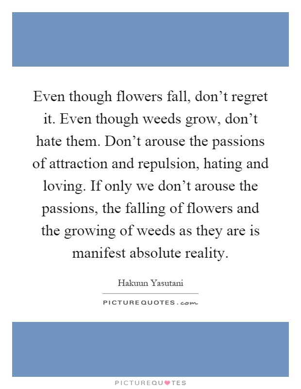 Even though flowers fall, don't regret it. Even though weeds grow, don't hate them. Don't arouse the passions of attraction and repulsion, hating and loving. If only we don't arouse the passions, the falling of flowers and the growing of weeds as they are is manifest absolute reality Picture Quote #1