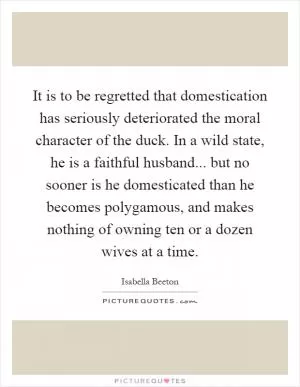 It is to be regretted that domestication has seriously deteriorated the moral character of the duck. In a wild state, he is a faithful husband... but no sooner is he domesticated than he becomes polygamous, and makes nothing of owning ten or a dozen wives at a time Picture Quote #1