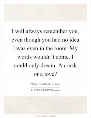I will always remember you, even though you had no idea I was even in the room. My words wouldn’t come, I could only dream. A crush or a love? Picture Quote #1