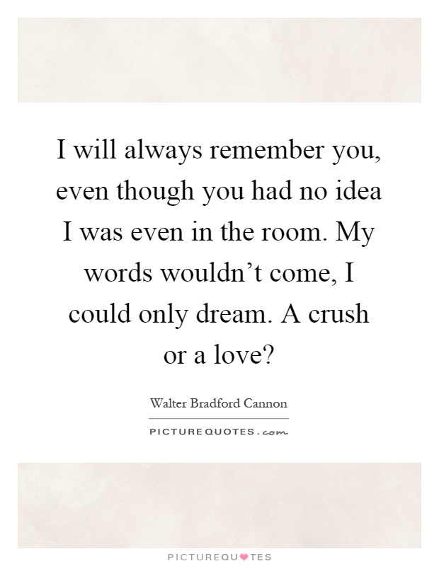 I will always remember you, even though you had no idea I was even in the room. My words wouldn't come, I could only dream. A crush or a love? Picture Quote #1