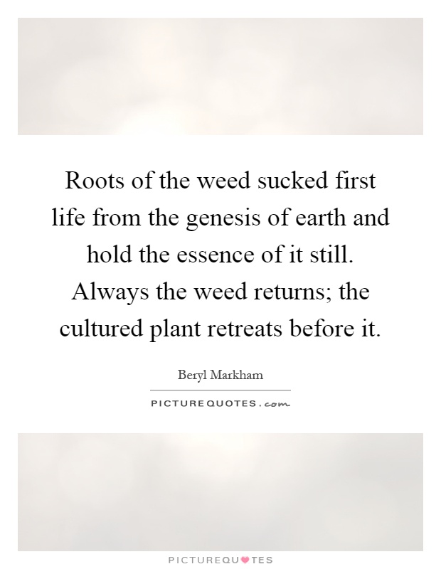 Roots of the weed sucked first life from the genesis of earth and hold the essence of it still. Always the weed returns; the cultured plant retreats before it Picture Quote #1
