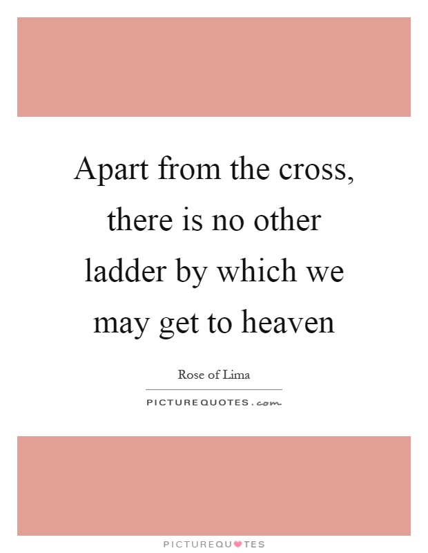 Apart from the cross, there is no other ladder by which we may get to heaven Picture Quote #1