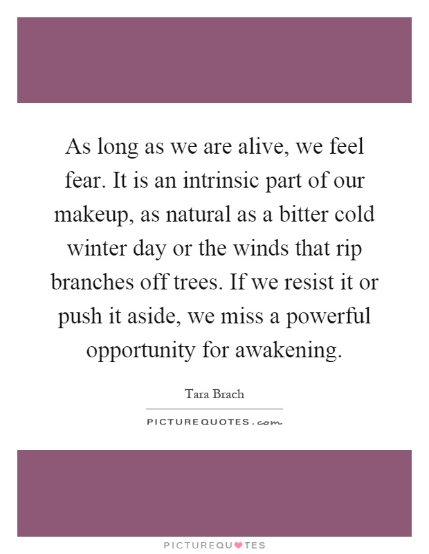 As long as we are alive, we feel fear. It is an intrinsic part of our makeup, as natural as a bitter cold winter day or the winds that rip branches off trees. If we resist it or push it aside, we miss a powerful opportunity for awakening Picture Quote #1