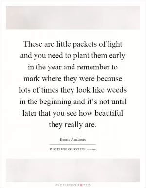 These are little packets of light and you need to plant them early in the year and remember to mark where they were because lots of times they look like weeds in the beginning and it’s not until later that you see how beautiful they really are Picture Quote #1