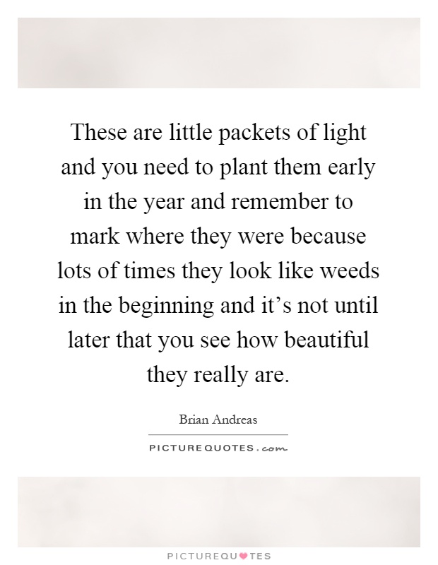 These are little packets of light and you need to plant them early in the year and remember to mark where they were because lots of times they look like weeds in the beginning and it's not until later that you see how beautiful they really are Picture Quote #1