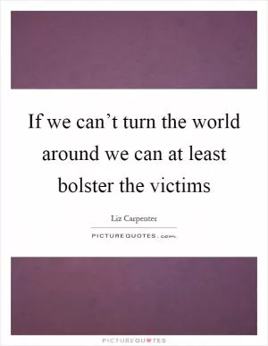 If we can’t turn the world around we can at least bolster the victims Picture Quote #1