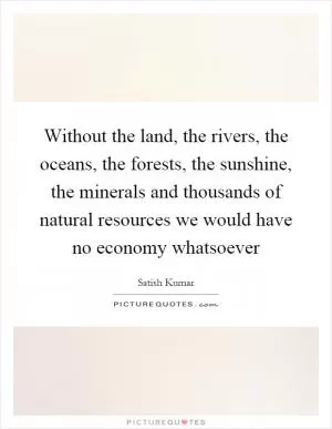 Without the land, the rivers, the oceans, the forests, the sunshine, the minerals and thousands of natural resources we would have no economy whatsoever Picture Quote #1