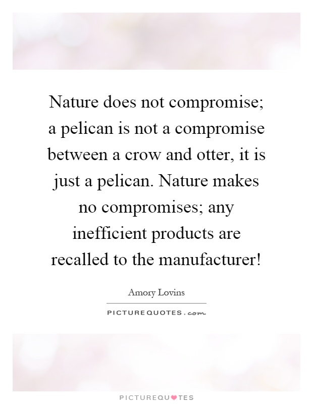 Nature does not compromise; a pelican is not a compromise between a crow and otter, it is just a pelican. Nature makes no compromises; any inefficient products are recalled to the manufacturer! Picture Quote #1
