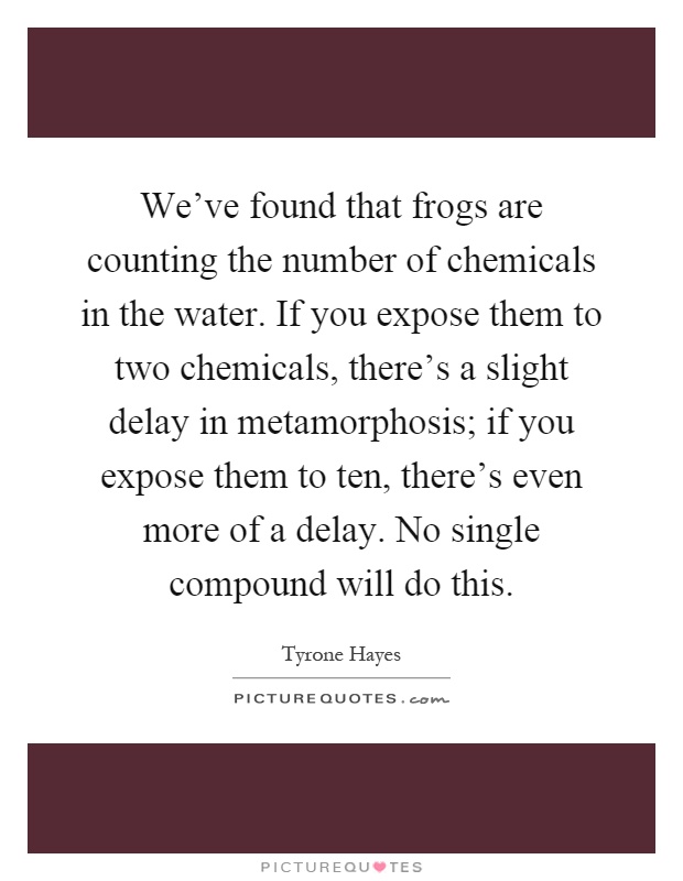 We've found that frogs are counting the number of chemicals in the water. If you expose them to two chemicals, there's a slight delay in metamorphosis; if you expose them to ten, there's even more of a delay. No single compound will do this Picture Quote #1
