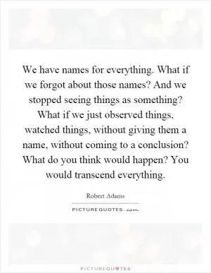 We have names for everything. What if we forgot about those names? And we stopped seeing things as something? What if we just observed things, watched things, without giving them a name, without coming to a conclusion? What do you think would happen? You would transcend everything Picture Quote #1