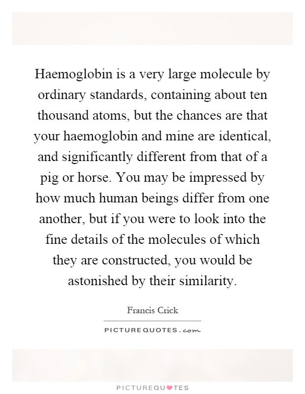 Haemoglobin is a very large molecule by ordinary standards, containing about ten thousand atoms, but the chances are that your haemoglobin and mine are identical, and significantly different from that of a pig or horse. You may be impressed by how much human beings differ from one another, but if you were to look into the fine details of the molecules of which they are constructed, you would be astonished by their similarity Picture Quote #1