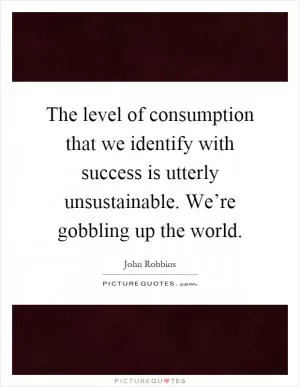 The level of consumption that we identify with success is utterly unsustainable. We’re gobbling up the world Picture Quote #1