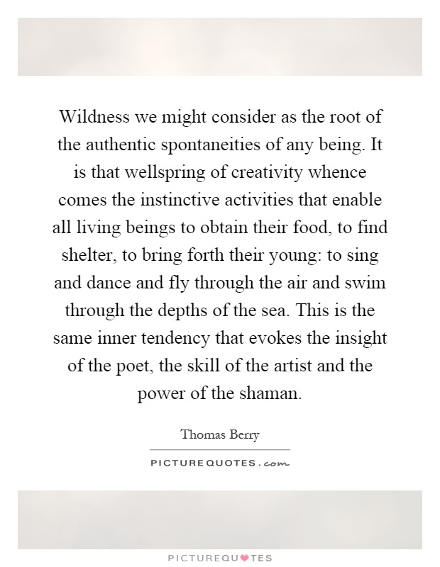 Wildness we might consider as the root of the authentic spontaneities of any being. It is that wellspring of creativity whence comes the instinctive activities that enable all living beings to obtain their food, to find shelter, to bring forth their young: to sing and dance and fly through the air and swim through the depths of the sea. This is the same inner tendency that evokes the insight of the poet, the skill of the artist and the power of the shaman Picture Quote #1