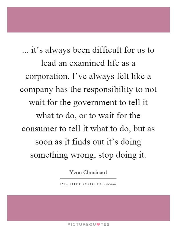 ... it's always been difficult for us to lead an examined life as a corporation. I've always felt like a company has the responsibility to not wait for the government to tell it what to do, or to wait for the consumer to tell it what to do, but as soon as it finds out it's doing something wrong, stop doing it Picture Quote #1