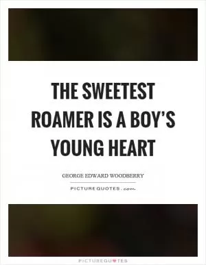 The sweetest roamer is a boy’s young heart Picture Quote #1