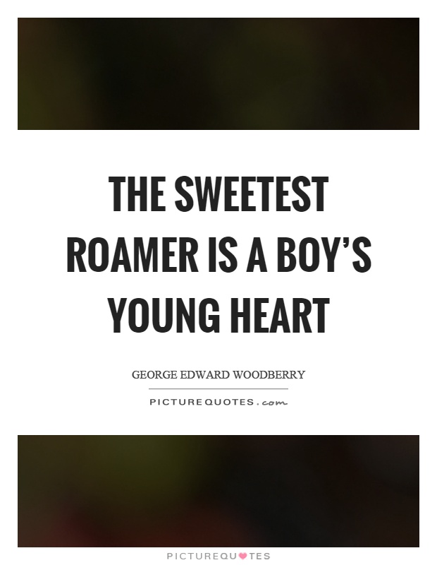 The sweetest roamer is a boy's young heart Picture Quote #1