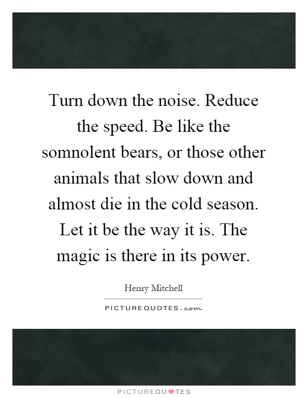 Turn down the noise. Reduce the speed. Be like the somnolent bears, or those other animals that slow down and almost die in the cold season. Let it be the way it is. The magic is there in its power Picture Quote #1