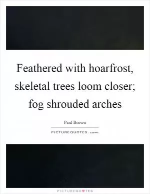 Feathered with hoarfrost, skeletal trees loom closer; fog shrouded arches Picture Quote #1