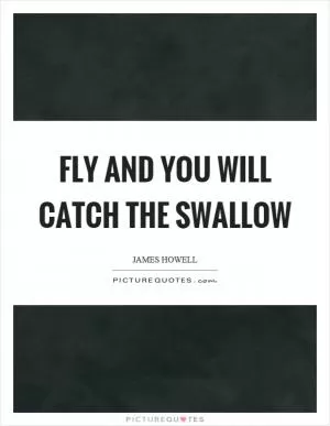 Fly and you will catch the swallow Picture Quote #1