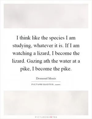I think like the species I am studying, whatever it is. If I am watching a lizard, I become the lizard. Gazing ath the water at a pike, I become the pike Picture Quote #1