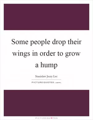 Some people drop their wings in order to grow a hump Picture Quote #1