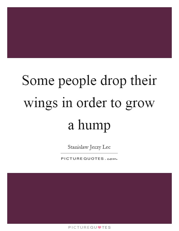 Some people drop their wings in order to grow a hump Picture Quote #1