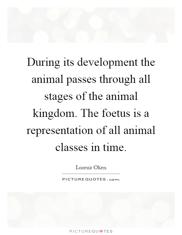 During its development the animal passes through all stages of the animal kingdom. The foetus is a representation of all animal classes in time Picture Quote #1