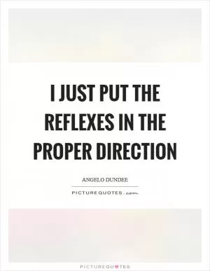 I just put the reflexes in the proper direction Picture Quote #1