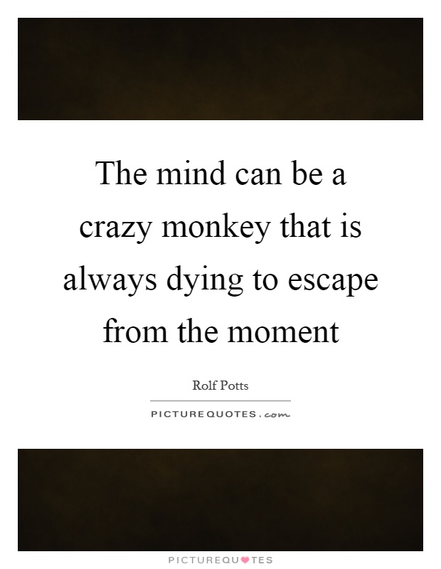 The mind can be a crazy monkey that is always dying to escape from the moment Picture Quote #1