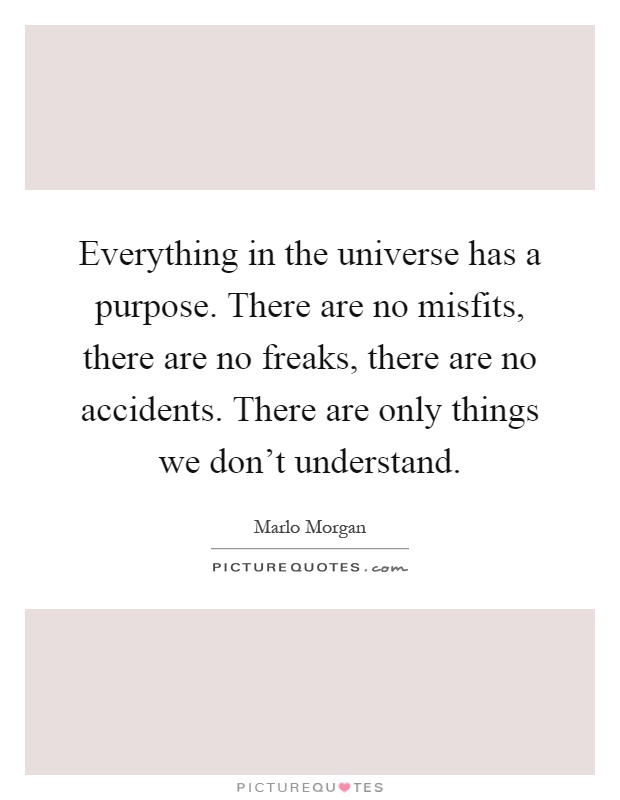 Everything in the universe has a purpose. There are no misfits, there are no freaks, there are no accidents. There are only things we don't understand Picture Quote #1