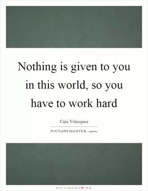 Nothing is given to you in this world, so you have to work hard Picture Quote #1
