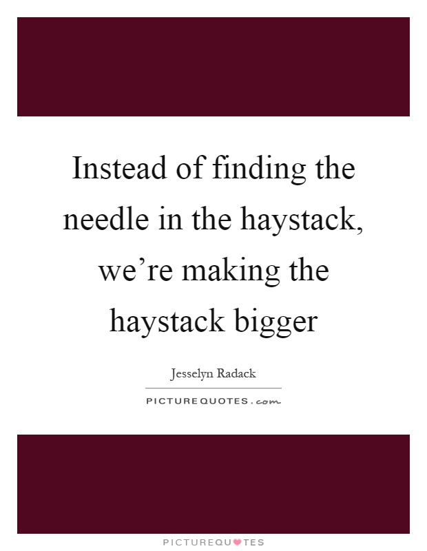 Instead of finding the needle in the haystack, we're making the haystack bigger Picture Quote #1