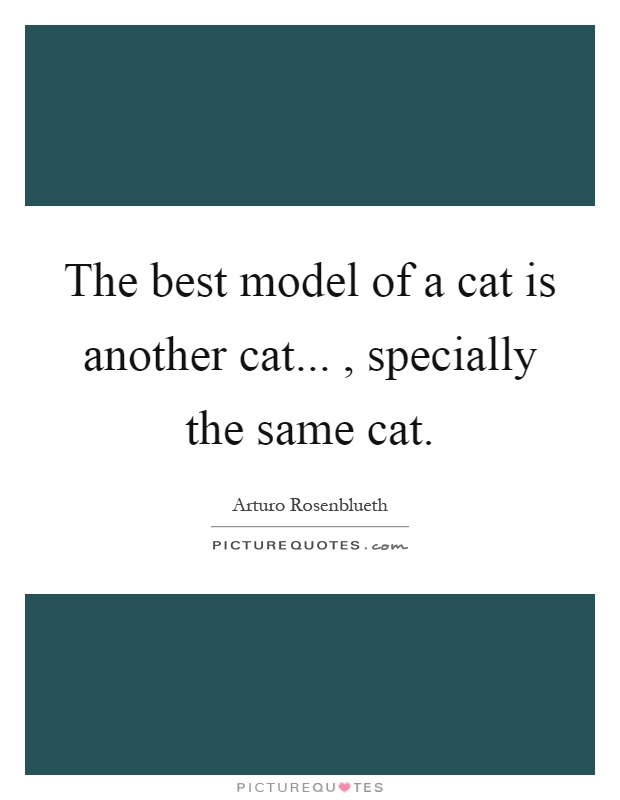 The best model of a cat is another cat..., specially the same cat Picture Quote #1