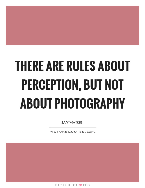 There are rules about perception, but not about photography Picture Quote #1