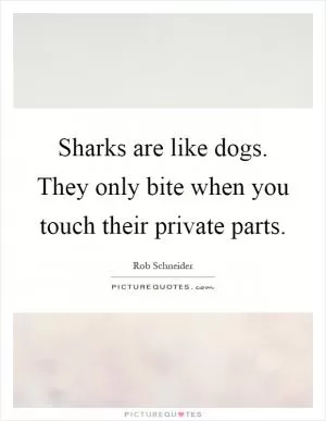 Sharks are like dogs. They only bite when you touch their private parts Picture Quote #1