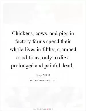 Chickens, cows, and pigs in factory farms spend their whole lives in filthy, cramped conditions, only to die a prolonged and painful death Picture Quote #1