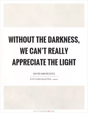 Without the darkness, we can’t really appreciate the light Picture Quote #1