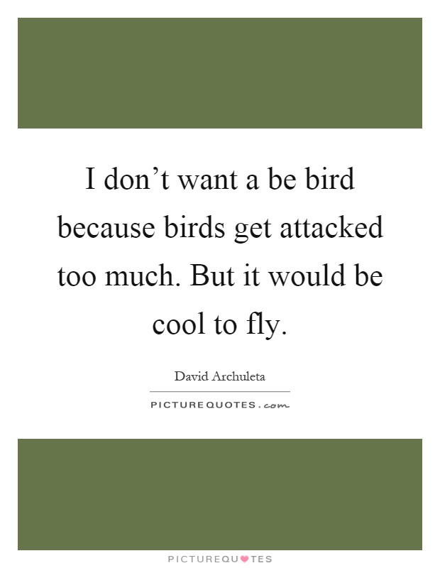 I don't want a be bird because birds get attacked too much. But it would be cool to fly Picture Quote #1