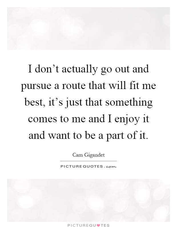 I don't actually go out and pursue a route that will fit me best, it's just that something comes to me and I enjoy it and want to be a part of it Picture Quote #1
