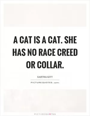 A cat is a cat. She has no race creed or collar Picture Quote #1