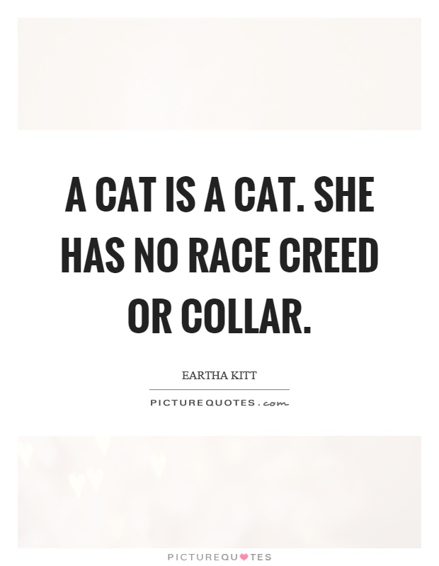 A cat is a cat. She has no race creed or collar Picture Quote #1