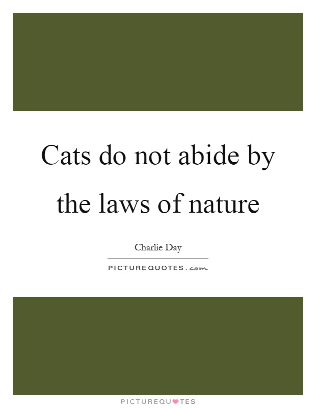 Cats do not abide by the laws of nature Picture Quote #1