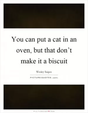You can put a cat in an oven, but that don’t make it a biscuit Picture Quote #1