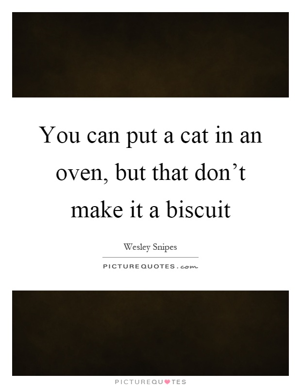 You can put a cat in an oven, but that don't make it a biscuit Picture Quote #1