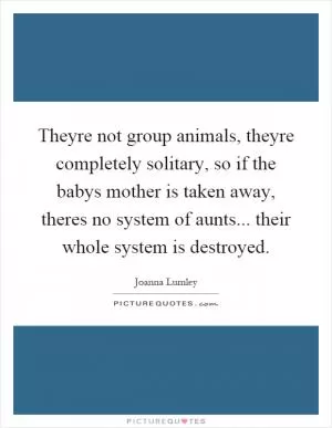 Theyre not group animals, theyre completely solitary, so if the babys mother is taken away, theres no system of aunts... their whole system is destroyed Picture Quote #1