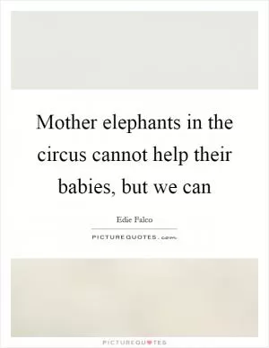 Mother elephants in the circus cannot help their babies, but we can Picture Quote #1