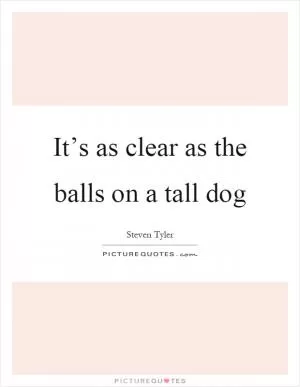 It’s as clear as the balls on a tall dog Picture Quote #1