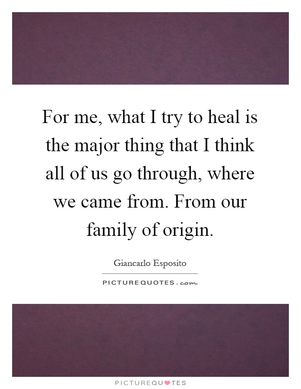For me, what I try to heal is the major thing that I think all of us go through, where we came from. From our family of origin Picture Quote #1